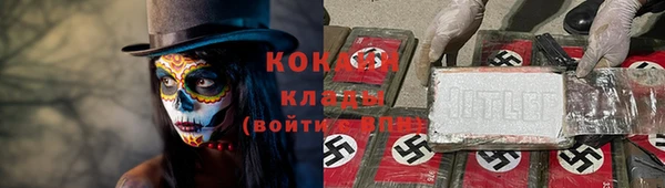 шишки Абинск
