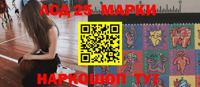гидра Ставрополь