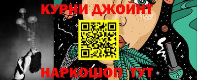 гидра Ставрополь