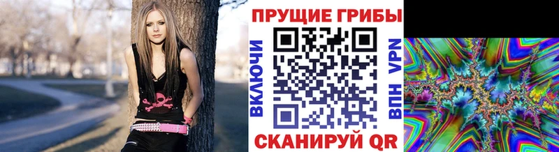 Псилоцибиновые грибы Psilocybine cubensis  Сальск 