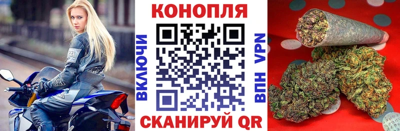 Конопля AK-47 Сальск