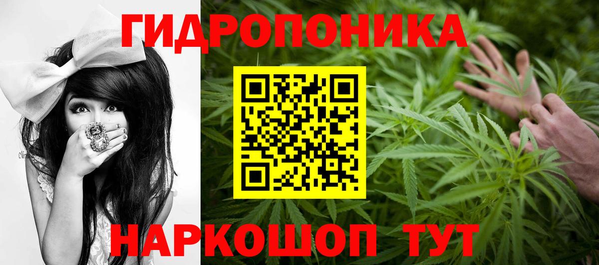 Бошки марихуана Bruce Banner  Вход с VPN  Каннабис сатива  Сальск  Каннабис SATIVA & INDICA 