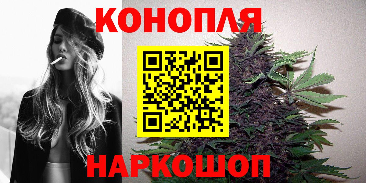 Канабис планчик Сальск